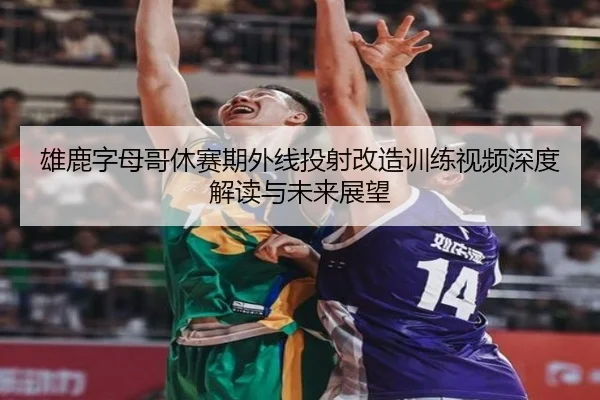 雄鹿字母哥休赛期外线投射改造训练视频深度解读与未来展望